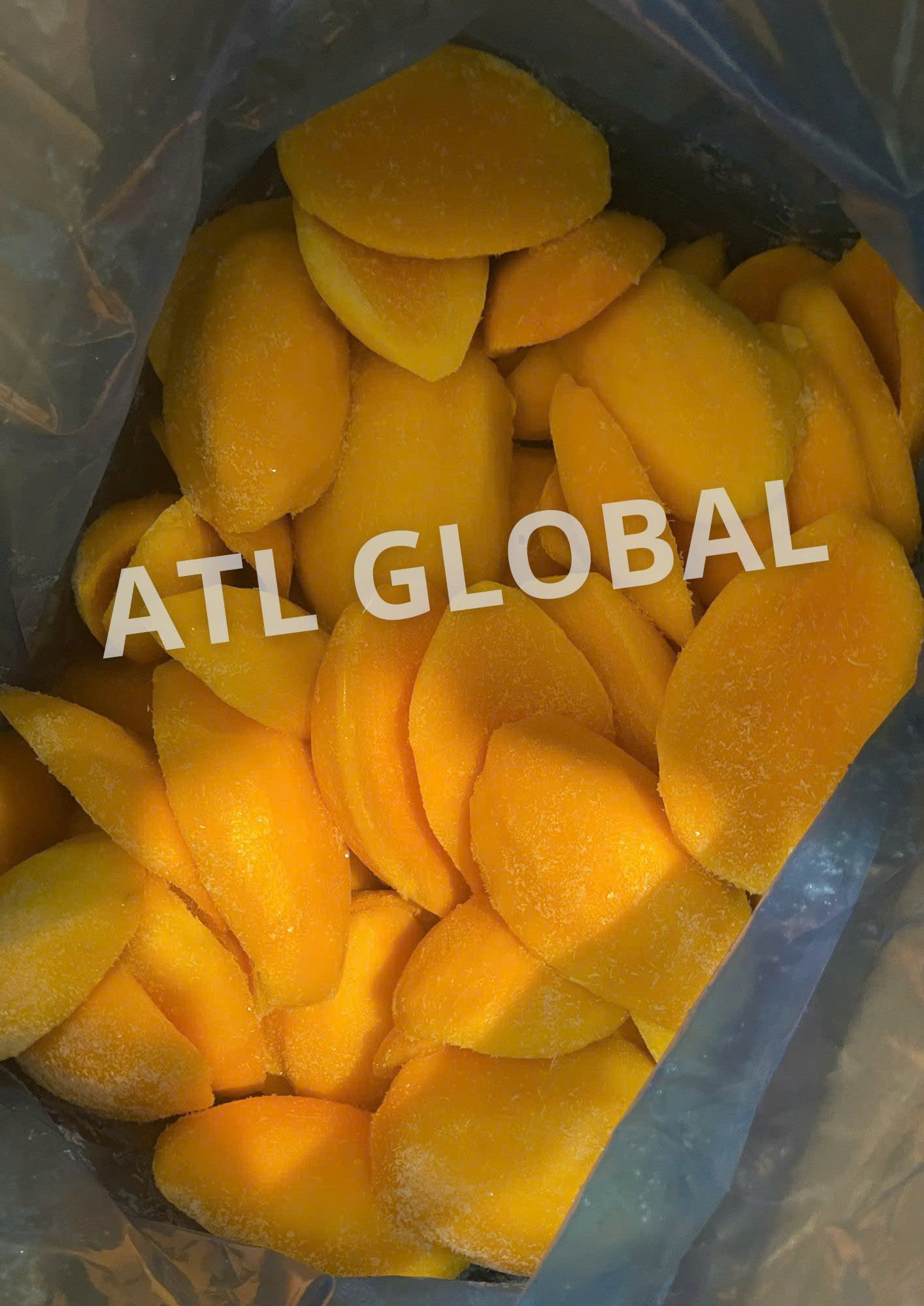 FROZEN MANGO VIETNAM
